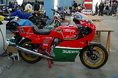 Puce_Niort_2009_021 [800x600]